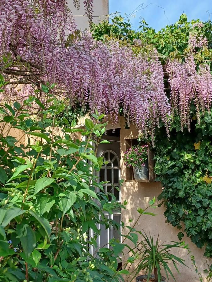 Suite Avec Jardin Entre Aix En Provence, Luberon Et Verdon Peyrolles-en-Provence Exteriör bild